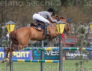 Hamood Eternal Flame TosTour 2013- S4 6624 : Arezzo Equestrian Centre, Eternal Flame, Hamood Olivia, Toscana Tour 2013, foto di Stefano Secchi ©